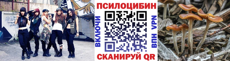 хочу Новокузнецк Псилоцибиновые грибы прущие грибы