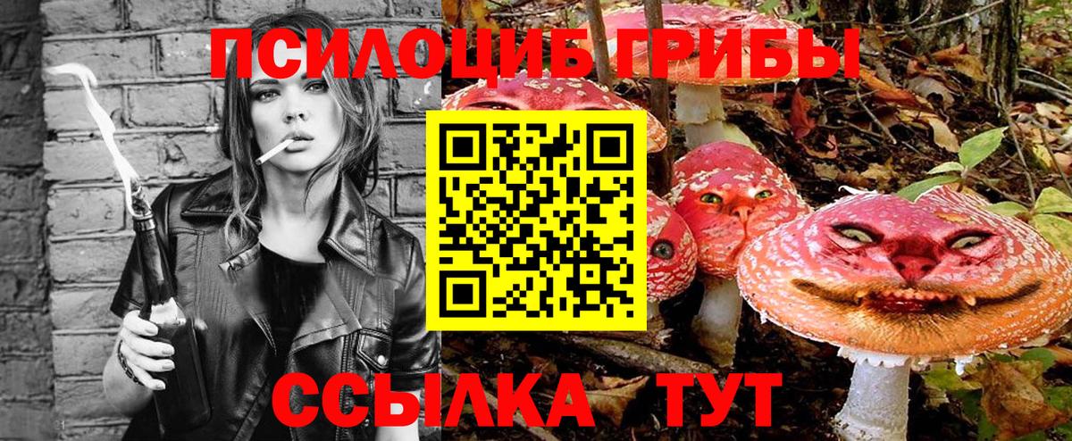 Галлюциногенные грибы MAGIC MUSHROOMS Новокузнецк