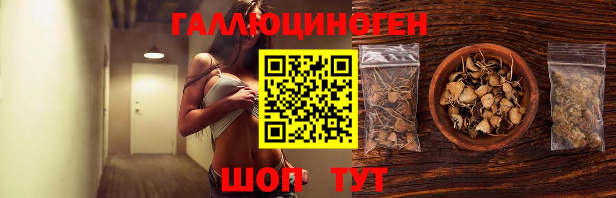 хочу наркоту  Галлюциногенные грибы MAGIC MUSHROOMS  Вход с VPN  Новокузнецк  Галлюциногенные грибы Cubensis 