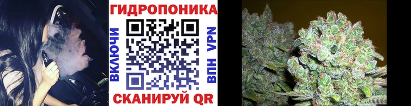 блэк спрут tor  Новокузнецк  Бошки марихуана план  цены  